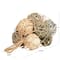 Cream Dried Plant Natural Foliage with Fishnet Bag